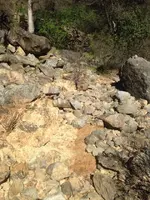 ImageUploadedByTreasureNet.com1490469652.229579.webp