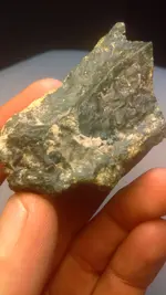 IMAG0241.webp