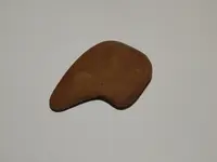 DSCN5781.webp