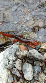 20170318_101821.webp