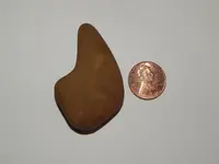 DSCN5786.webp