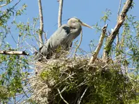 bike ride 050517 2.webp