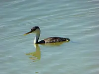 bike ride 050517 3.webp