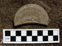 Marleka_fairy_stone_from_Stensö_in_Sweden.webp