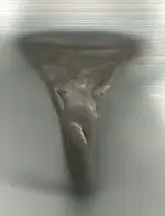 ring 003.webp