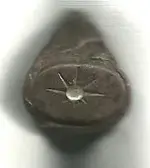 ring 002.webp