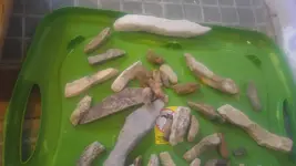 20170424_132728.webp