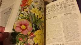 1495168122464.webp