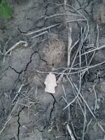 20170518_202144.webp 20170518_202144.webp