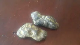 20170424_133154.webp