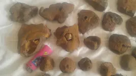 20170425_125719.webp