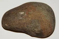 DSCN5868.webp