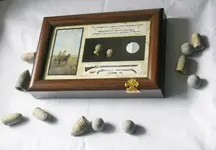 IMG_0049.webp