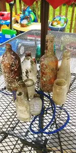 20170519_145557.webp