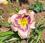 20170425_121421.webp