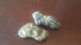 20170424_133155.webp