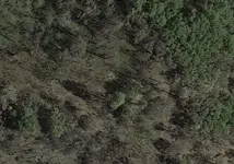 Screen Shot 2017-04-18 at 2.34.51 PM.webp