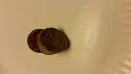 20170325_200427.webp