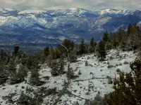trip 042517 1.webp