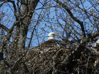 K1600_DSCN1958.webp