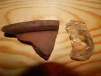 DSCN6072.webp