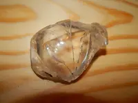 DSCN6073.webp
