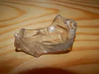 DSCN6074.webp