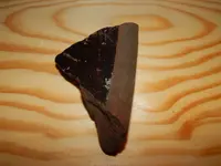 DSCN6075.webp