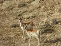 trip 042517 3.webp