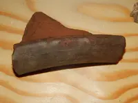 DSCN6076.webp