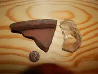 DSCN6077.webp