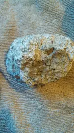 IMG_20170418_192802_605.webp IMG_20170418_192802_605.webp
