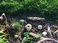 2017-04-05 18.47.34.webp