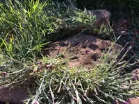2017-04-05 18.47.50.webp