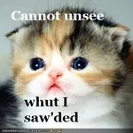 CannotUnsee.webp