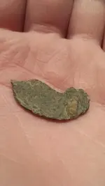 Brooch Piece(back).webp