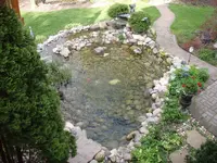 P4260121.webp