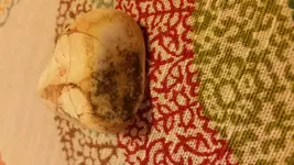 20170512_111436.webp