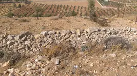 view.webp