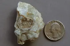Chert-2017-04-11-Img_3928SSS.webp Chert-2017-04-11-Img_3928SSS.webp