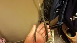 1491176236985.webp