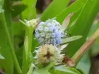DSCN0137.webp