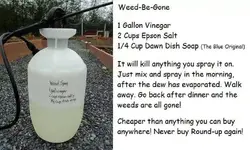weedkiller.webp