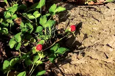 CRW_2469_edit_1.webp
