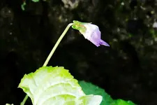CRW_2471.webp