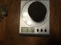 scale1.webp