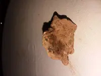 20170418_212501.webp
