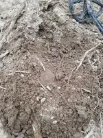 20170504_190824.webp