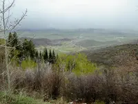 trip 042617 1.webp