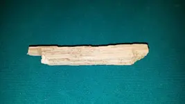 20170506_182957.webp